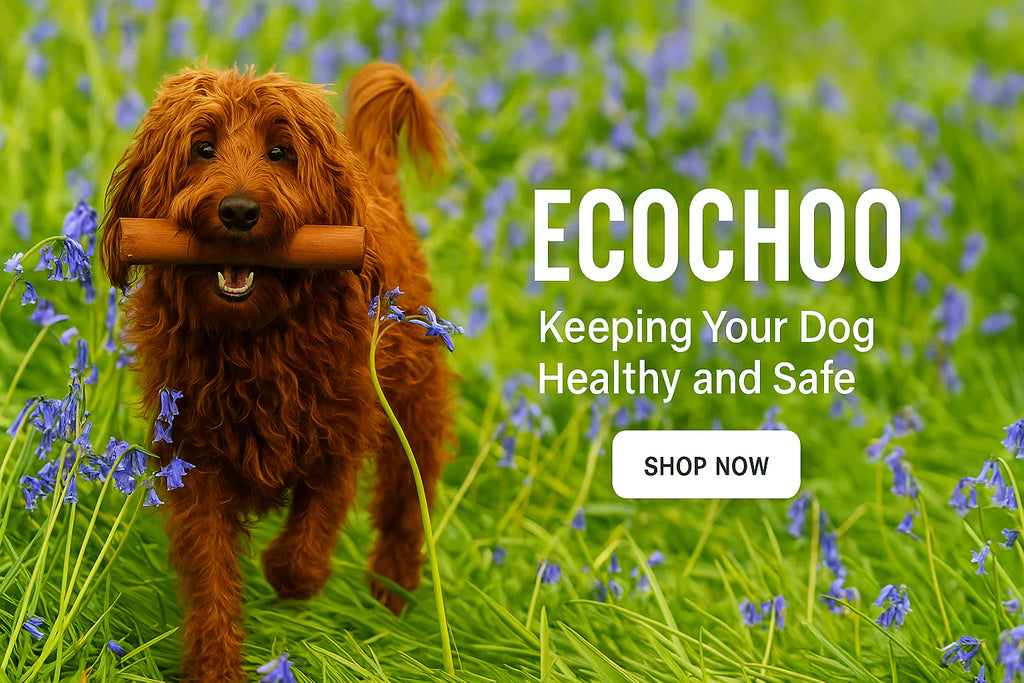 FEATURED PRODUCTS - ECOCHOO MULTI-PACKS WITH FREE ECO-BAG
