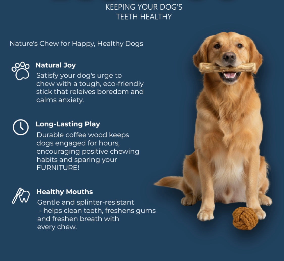 DOGGY CHEW 'FUN BAG' FREE WITH 'MULTI-PACK' ORDERS, PLUS WHO CAN CHEW 'EM & BENEFITS!